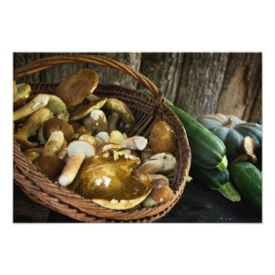 Do outono da comida impressão da foto da vida