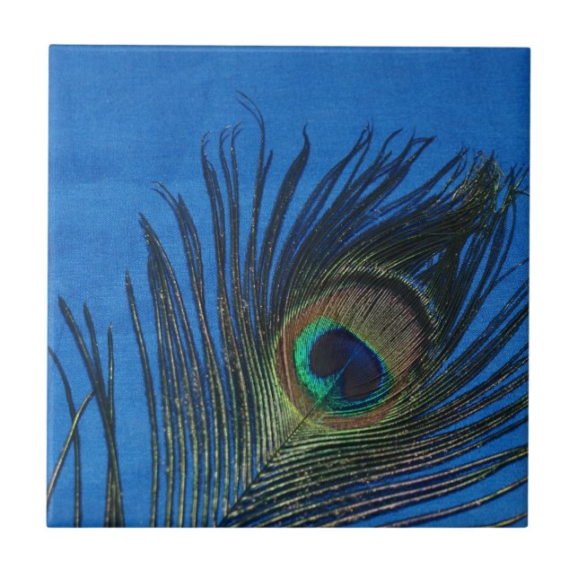 Do pavão vida ainda com azulejo azul (Frente)