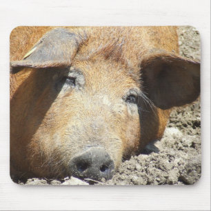 Do "porco" Mousepad sono