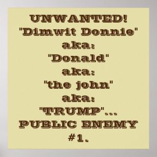 Do "trunfo de Donnie Dimwit", poster do inimigo