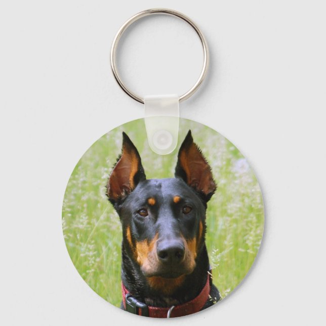 Doberman Chaveiro (Frente)