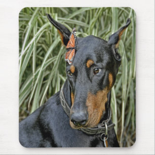 Doberman com borboleta Mousepad
