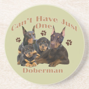 Doberman não pode ter apenas uma Porta copos