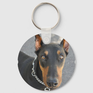 Doberman Pinscher Chaveiro