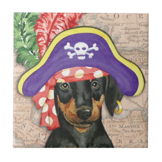 Doberman Pinscher Pirate (Frente)
