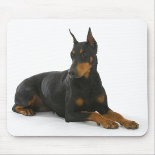 Doberman Pinscher Puppy Dog Mousepad