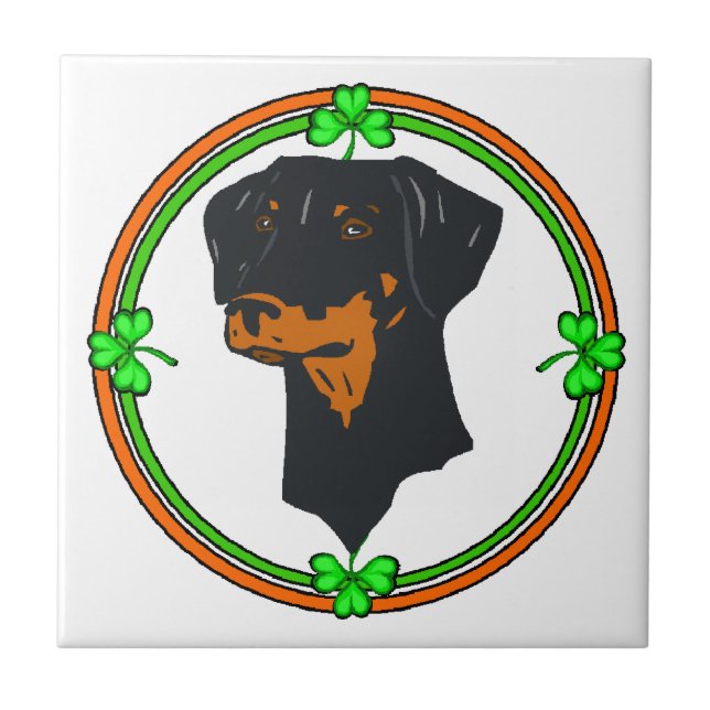 Doberman Pinscher St Patricks (Frente)