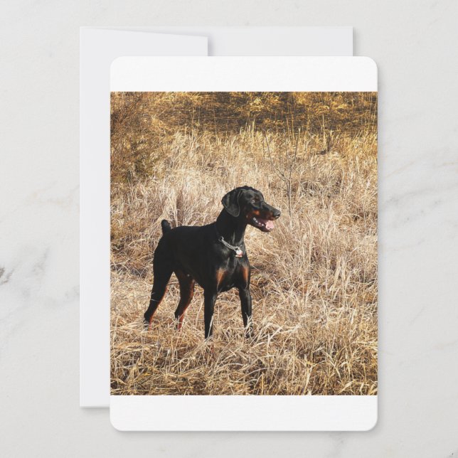 Dobermann_Bruno.png (Frente)