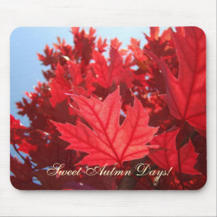 Doce Dias de Outono! mousepad Folhas de Árvore Ver