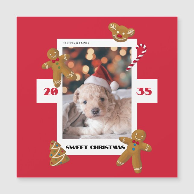 Doce foto personalizada de Natal de animal de esti (Frente)