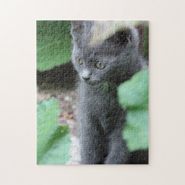 Doce Kitten Quebra-cabeça (Vertical)