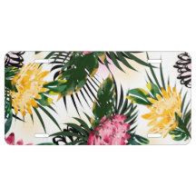 doce natureza apresenta naturalismo