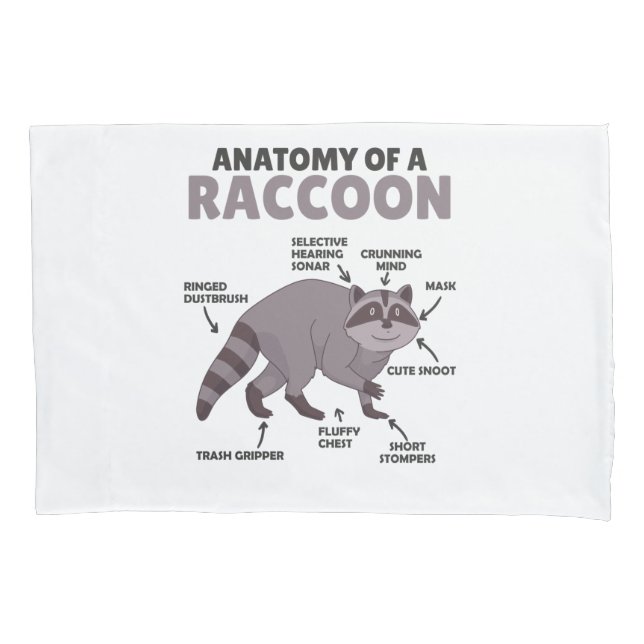 Doce Raccoon Explicação Anatomia De Um Raccoon (Frente)