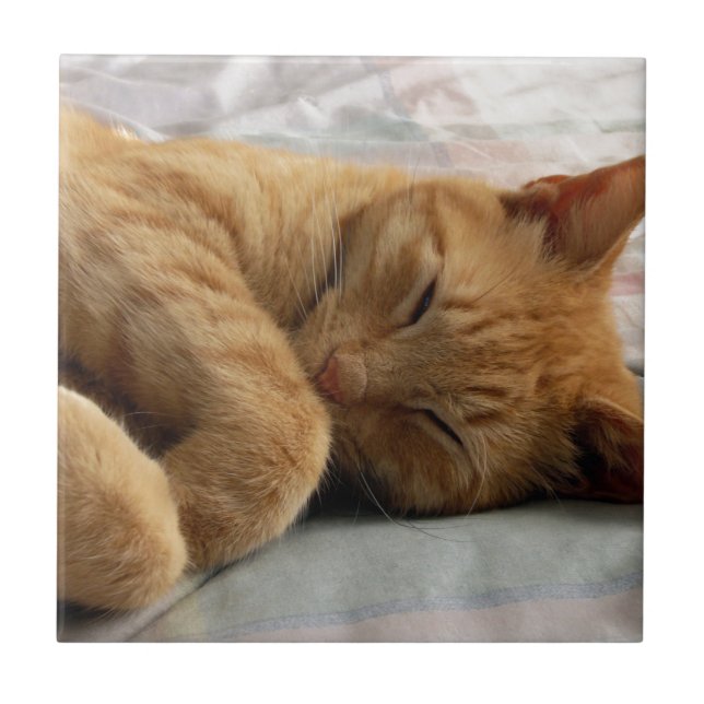 Doces Sonhos (Frente)