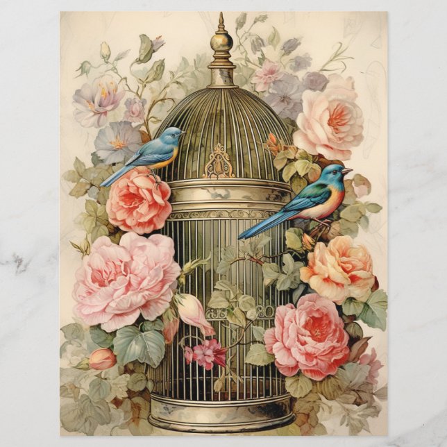 Documento de Beleza Aviária (Frente)