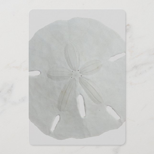 Documento do Programa de Ventilador de Casamento d (Frente)