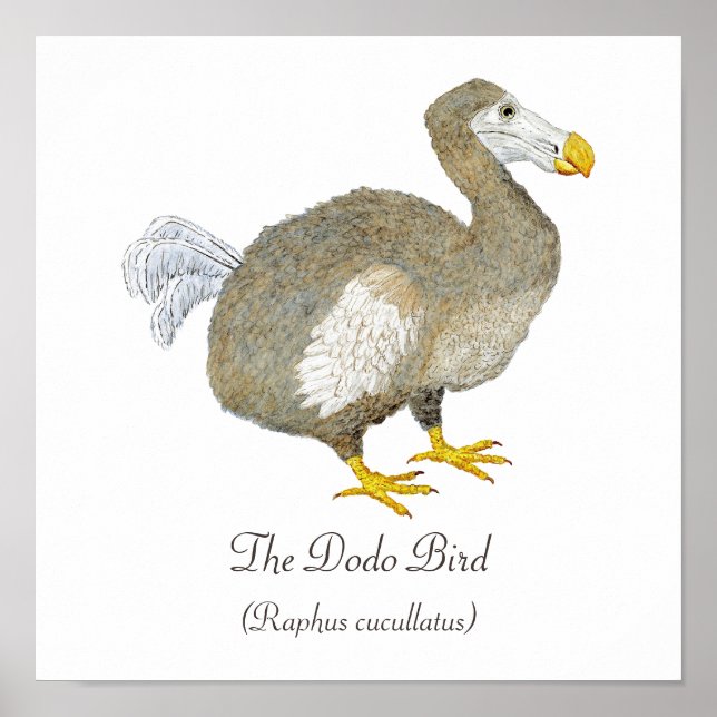 Dodo Bird Art Poster (Frente)