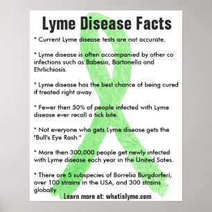 Doença de Lyme provoca Poster educacional