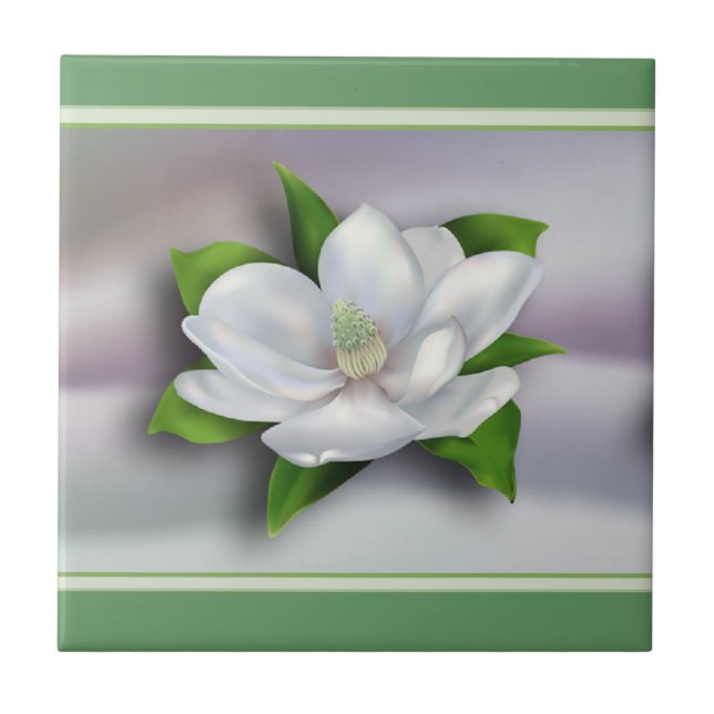 Doenças do (Frente)