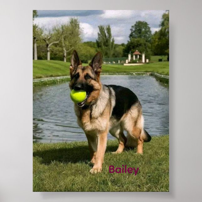 Dog Bathroom Wall Art, Boxer Taking a Bath Poster (Frente)