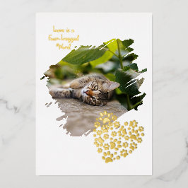 Dog Cat Pet Paw Custom Photo Valentine's Day Love