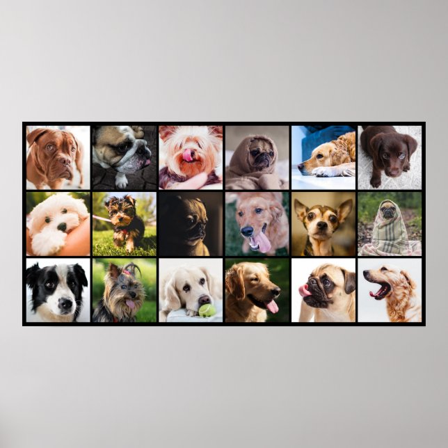 Dog Lover's poster (Frente)