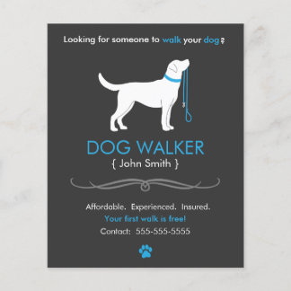 Dog Walker Walker Business Flyer Modelo