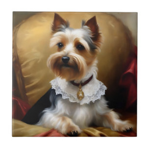 Dog Yorkshire Terrier Beauty