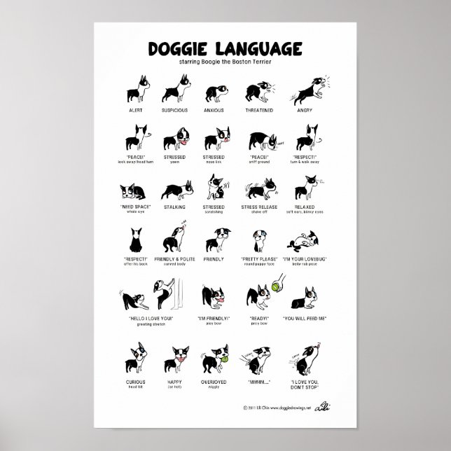 DOGGIE LANGUAGE Large Poster (Frente)