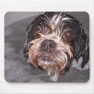 Doggy empapado Mousepad