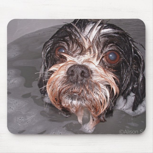 Doggy empapado Mousepad (Frente)