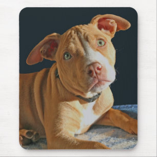 Doggy triste Mousepad do cão do pitbull do filhot
