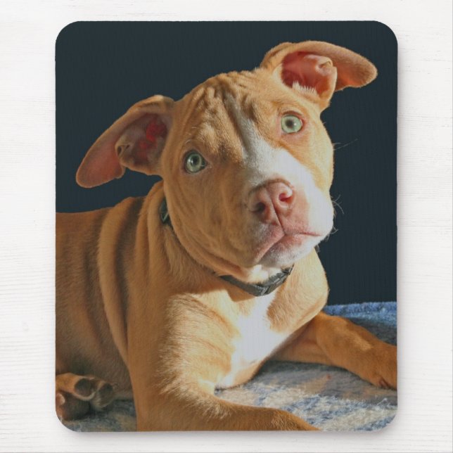 Doggy triste Mousepad do cão do pitbull do filhote (Frente)