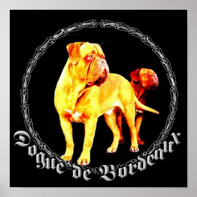 Dogue de Bordeaux poster (Frente)