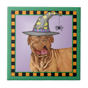 Dogue de Bordeaux Witch