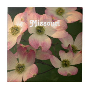 Dogwood