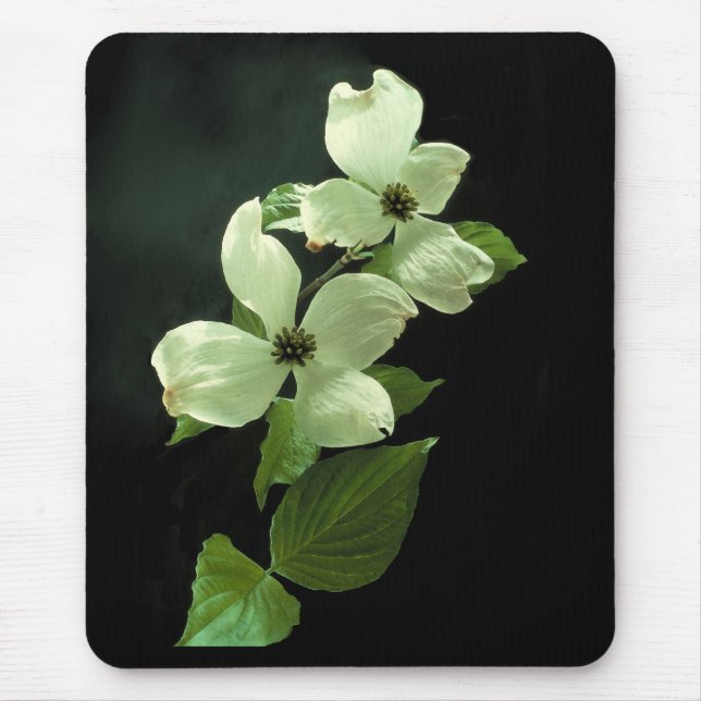 Dogwood Blossum Mousepad (Frente)