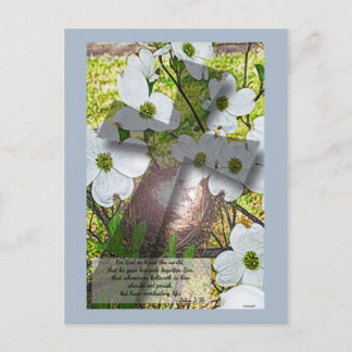 Dogwood Flower and Cross w/John 3:16 Cartão postal