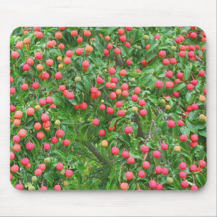 Dogwood Mousepad de Kousa