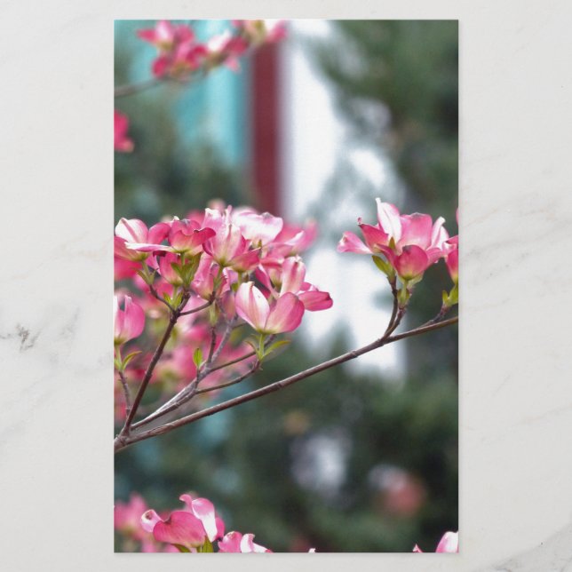 Dogwood Rosa (Frente)