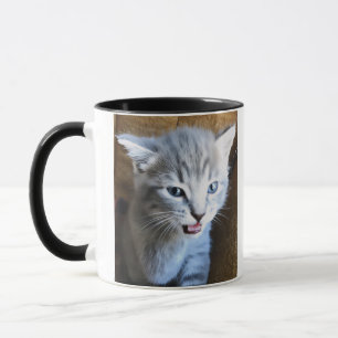 Doida por Gatos. Humor de Gato. Caneca de Café de