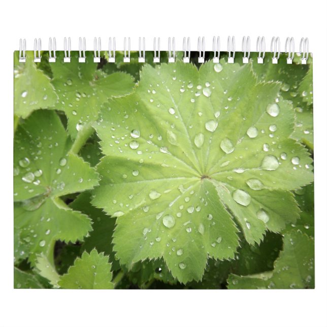 Dois a página, pequena, 7" x11", o calendário (Capa)