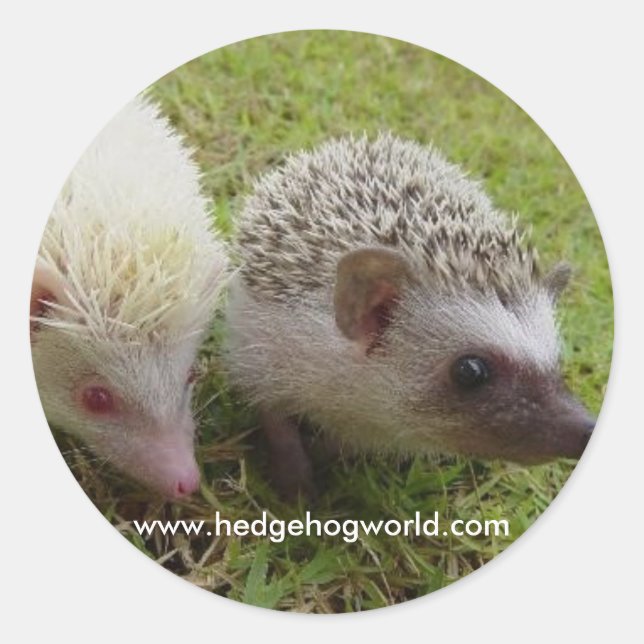 Dois adesivos de cuecas (Frente)