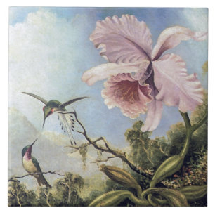 Dois beija-flores e uma orquídea