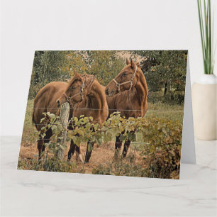 Dois Belos Cavalos - Feliz Cartão de Aniversário