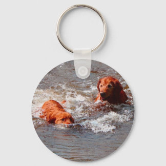 dois cachorros brincando na chaveiro de água