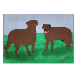 Dois cães marrons lendo cartões de acesso para a