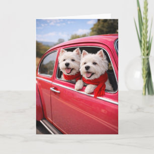 Dois cães Westie em cartão de dia dos namorados de