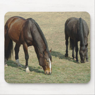 Dois cavalos - Mousepad