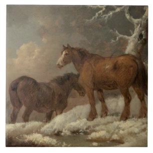 Dois cavalos na neve (cena do inverno)